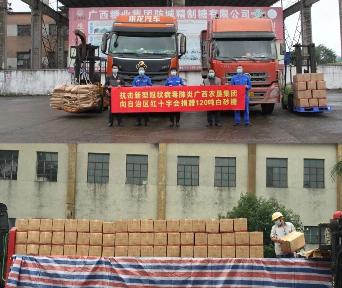 廣西農墾.jpg