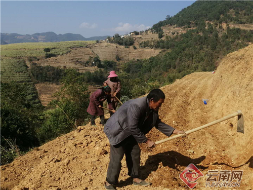 1582105874841119.jpg 00301442531_39483498.jpg