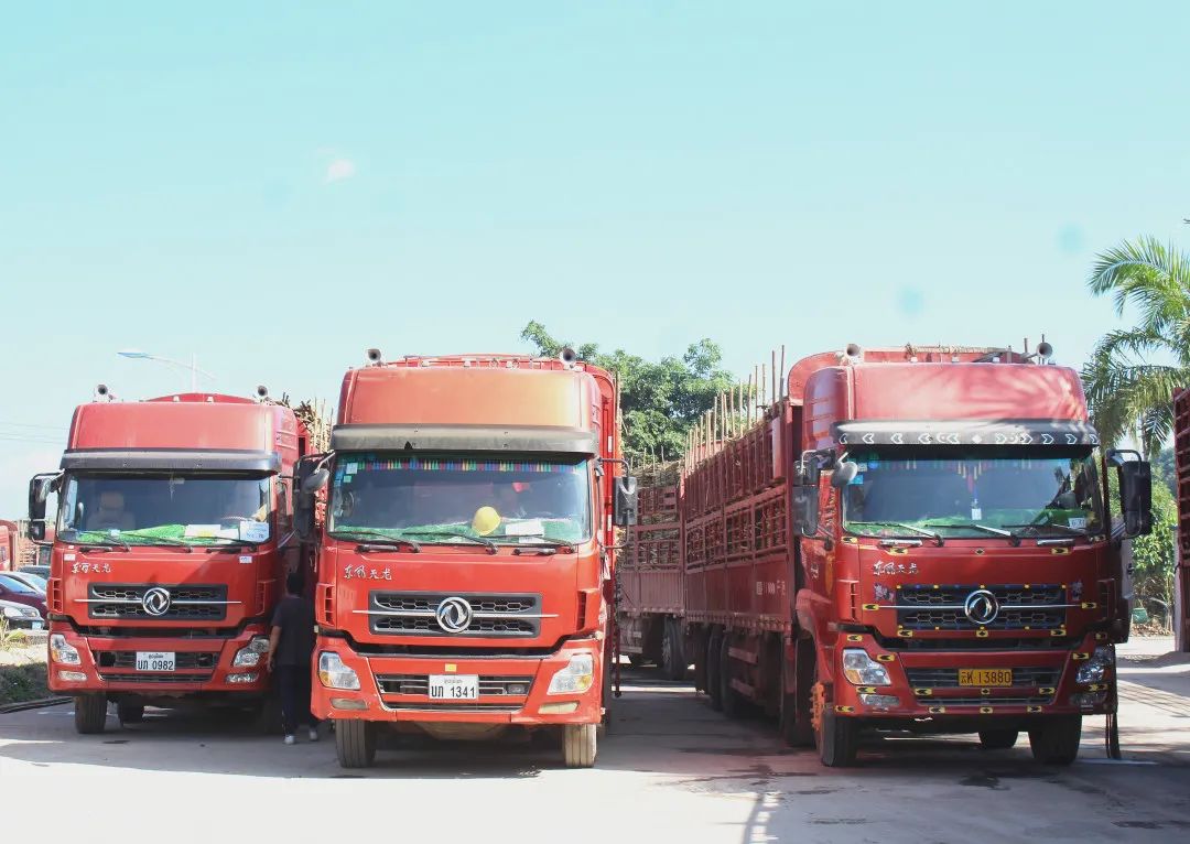 1589324259515235.jpg 微信圖片_20200513153036.jpg