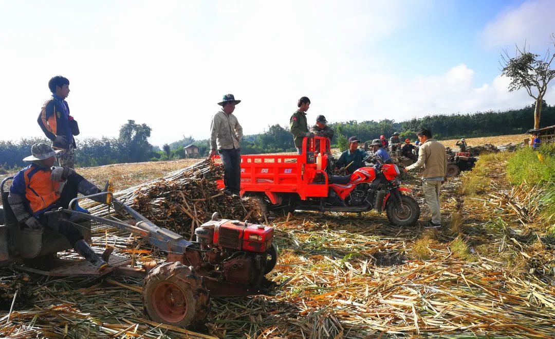 1589324307660640.jpg 微信圖片_20200513153046.jpg