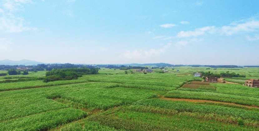 1592245987213243.jpg 1592276928638.jpg