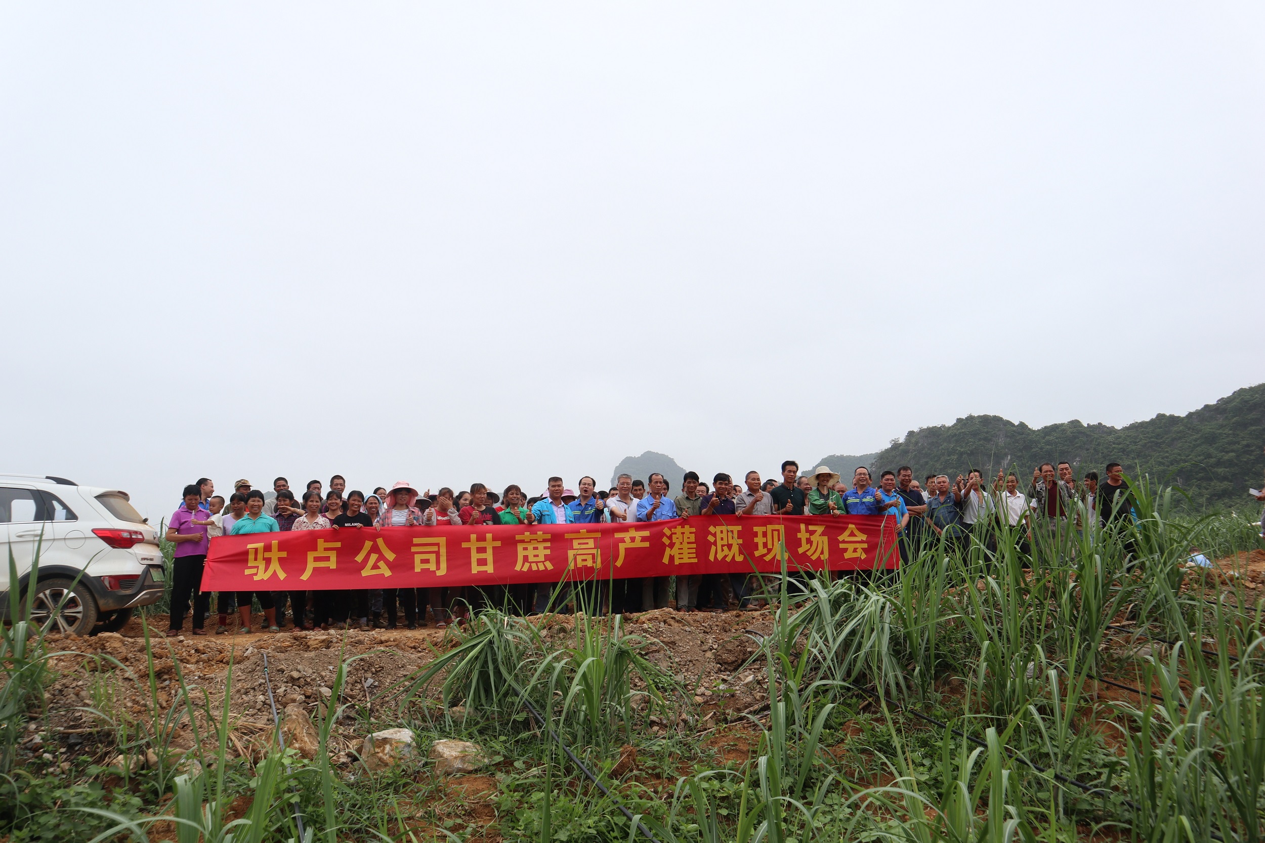 馱盧公司灌溉現場會1.jpg