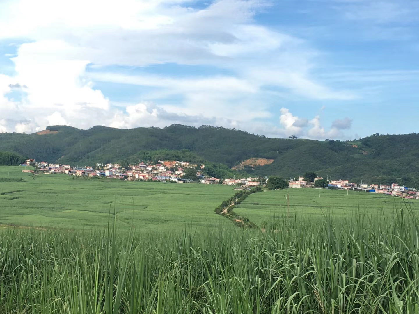 1599782397335415.jpg 微信圖片_20200911162800.jpg