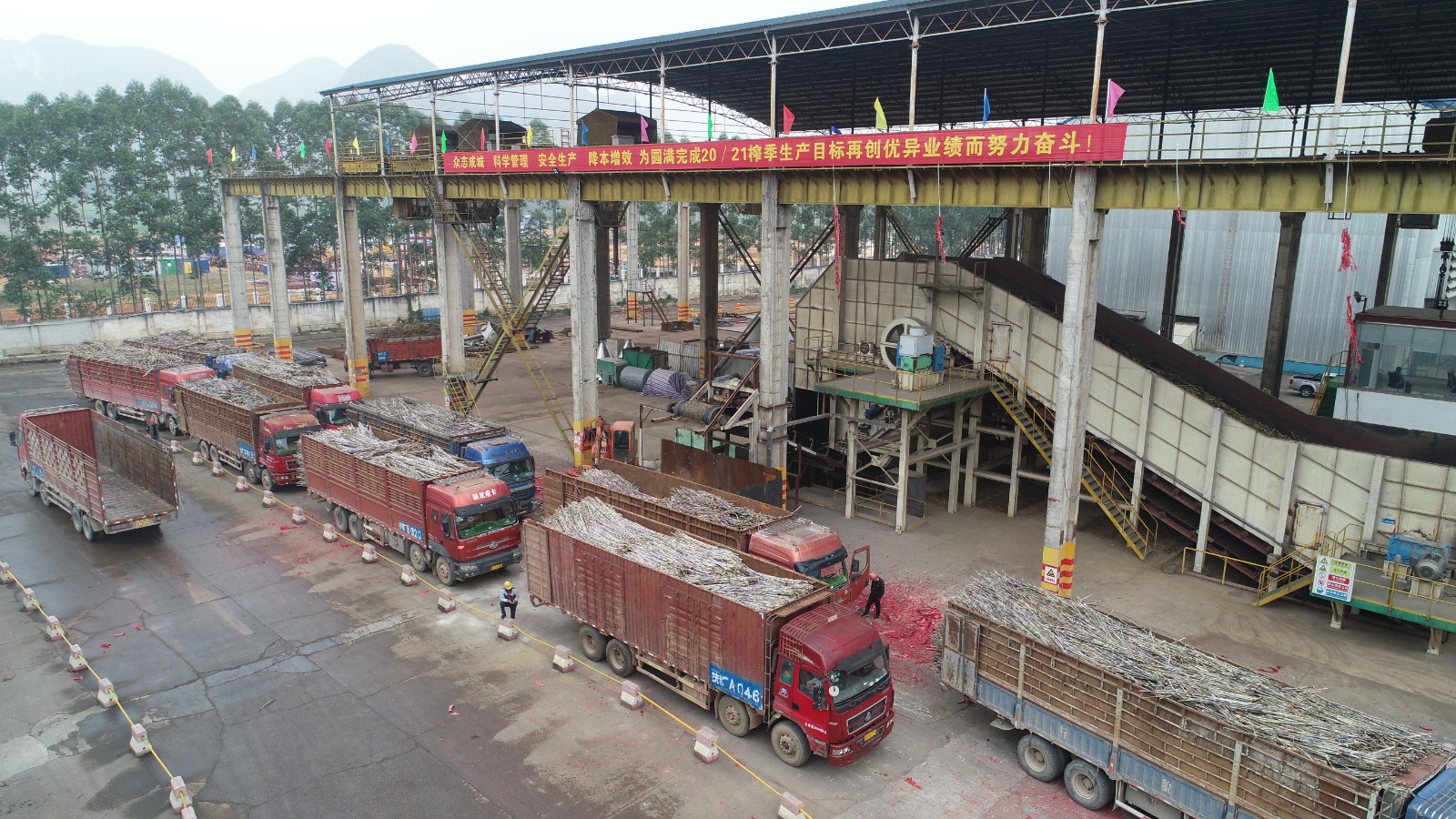 蔗車排隊壓榨.jpg